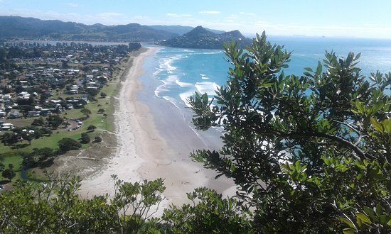 Pauanui Trail